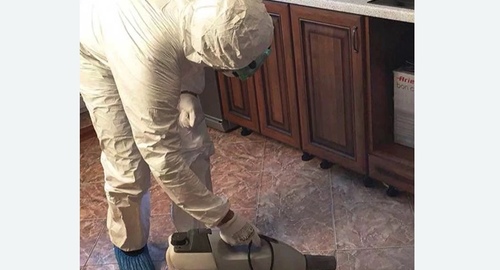 Уничтожение тараканов в квартире. Новогиреево